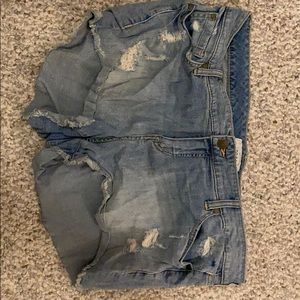Torrid Shorts